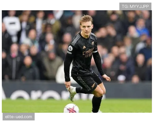 从组织者到得分手：厄德高的数据进化