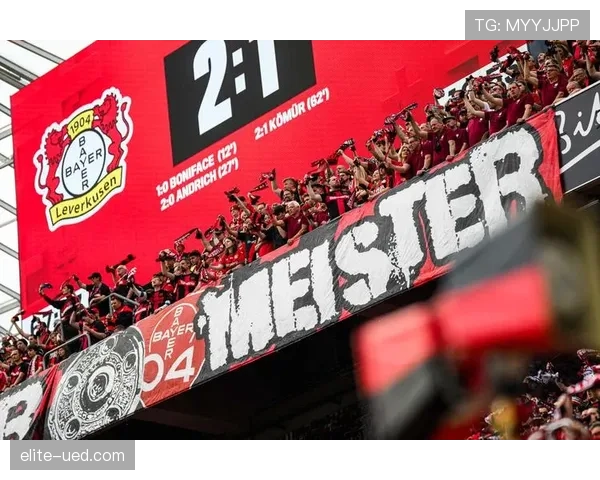 博尼法斯：欧战黑马到顶级联赛的荣誉跃迁解析